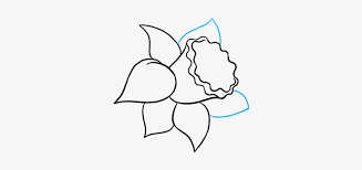 When your glue has dried, colour the daffodil with the white, yellow and orange pastels. How To Draw Daffodil Easy To Draw Daffodil Free Transparent Png Download Pngkey