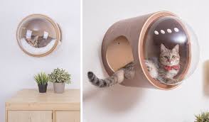 Une Niche Pour Que Votre Chat Devienne Le Plus Mignon Des Astronautes Niche Chat Chambre A Theme Chat Bricolage Pour Chat