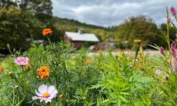 open days + pick-your-own garden — SUSU commUNITY