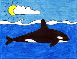 Draw the mouth of this blue whale. How To Draw A Killer Whale Art Projects For Kids