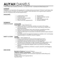 lot associates resume example