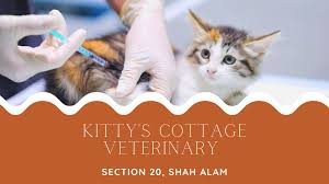 Haiwan yang darahnya bukan berwarna merah! Kitty S Cottage Klinik Haiwan Surgeri Shah Alam Beitrage Facebook