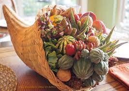 It is easiest to start at the pointier end of the cone first. Make A Succulent Cornucopia Debra Lee Baldwin