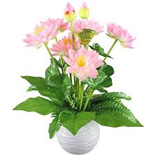 Candelabra dripping with roses and. Hogado Artificial Flowers Peach Silk Lotus Bouquet Floral Arrangements Centerpieces Home Kitchen Tabletop Aquarium Fish Tank Backyard Koi Pond Decors Vase Not Include Buy Online In Aruba At Aruba Desertcart Com Productid 36830253