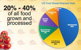 Food For Thought Becoming A Conscious Consumer In My Sacred Space Food Waste News Articles For Kids Food Waste Disposal