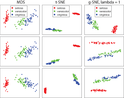 Clustering For Iris Flower Data Set Using Mds T Sne And G Sne With Download Scientific Diagram