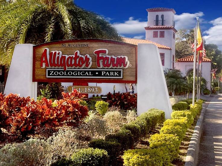 Anti-Aging Certified St.Augustine, FL