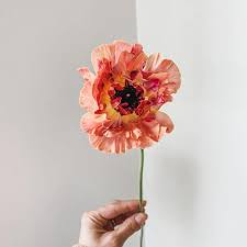 Using this shade in your space offers a chance for people to connect to nature in a subtle way, beryl says. Your Favorite Japanese Ranunculus Named Charlotte Article On Thursd