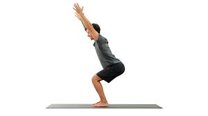 • precise anatomical analysis of classical asanas. Janu Sirsasana Head To Knee Pose Gaia