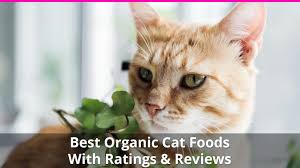 Looking for the best organic cat food? Best Organic Cat Food For Natural Wellness Wet And Dry Brand Reviews