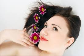 5,792 Young Chrysanthemum Stock Photos