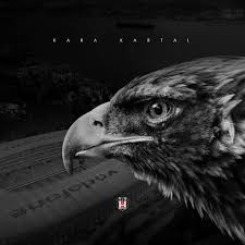 We hope you enjoy our growing collection of hd images to use as a background or home screen for your. Besiktas J K Official Web Site