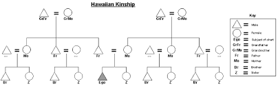 Hawaiian Kinship Chart Diagram Math Anthropology