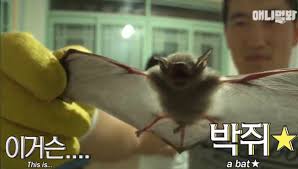 Maybe you would like to learn more about one of these? í•´ì—°ê°¤ ã…‡ã…Žã…ˆã…‡ ì™¸êµ­ ë°•ì¥ Vs íŽ„ëŸ­ ë°•ì¥ Jpg