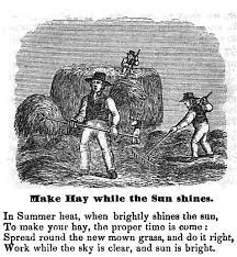 From longman dictionary of contemporary englishmake hay (while the sun shines)make hay (while the sun shines)use/consumeto take the opportunity to do something now, because you may not be able to do it later → hayexamples from the corpusmake. Meaning And Origin Of The Phrase Make Hay Word Histories