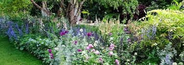 Alles rund um den garten vb. Gartencenter Mayer Salzburg Alles Rund Um Den Garten Pflanzen Uvm