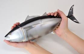 Sushi Tuna Model Teaches Kids How To Dissect Maguro Tuna Sushi Teaching Kids Learn Japanese