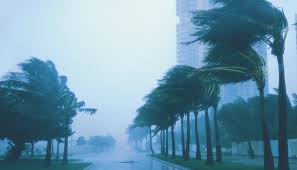 Windstorms: Cause and Effects - FRCN HQ