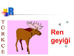 Alfabeye Turkce Hos Geldiniz Turkce Ppt Video Online Indir
