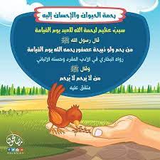 مصلحون moslehoon instagram photos and videos islamic quotes photo and video instagram photo