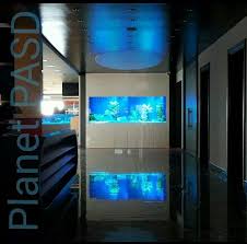 Dernek Grup Genel Merkez Lobisi Tatli Su Akvaryumu Akvaryum Aquarium Blue Blue World Lobby Reception Resepsiyon Resepsiyonlar Akvaryum Tatli Su