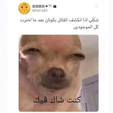 pin by shatha on مستحيل تخرج بدون ما تضحك funny photo memes otaku funny funny text memes