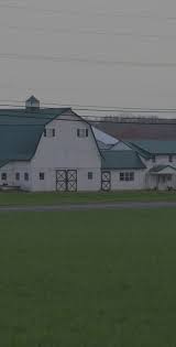 Freiberger Farms- Contact us