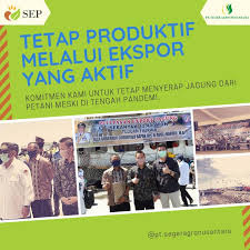 Sumber energi pangan (sep) yang bergerak di bidang industri pengolahan komoditas jagung pakan ternak. Jessica Surya Krishnan Budget Management Analyst Pt Seger Agro Nusantara Linkedin