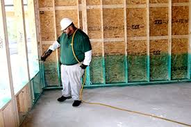 Borate Based Termite Treatment Offers Less Toxic Approach To Southern Resilience