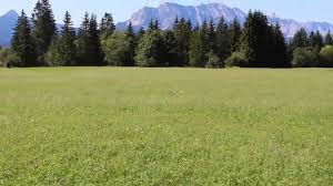 Berghütten sind gemütlich, praktisch und meist toll gelegen. Magdalena Neuner Panoramaweg 2015 Ausblick Uber Krun Und Wallgau Youtube