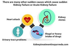 The Cases Of The Kidney Infection Are Increasing Among Women And Elderly Population There Are Certain Conditi Kidney Treatment Kidney Infection Kidney Failure