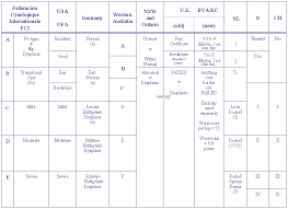 Hip Dysplasia Graph Related Keywords Suggestions Hip