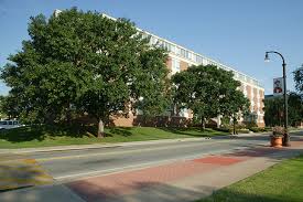 Osu Honors Six Individuals Who Have Made Oklahoma And World A Better Place News And Information Oklahoma State University