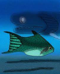 海氏福爾卡魚的復原圖