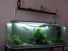 Mangrow Koku Ve Yati Koku Aldim Sizce Nasil