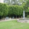 Buy bareroot willow trees (salix species) online by mail order at ashridge nurseries. Https Encrypted Tbn0 Gstatic Com Images Q Tbn And9gcshy80zup2ehaa8hbqawd4qntob 0c8xwzhldpptayas5ugkkwe Usqp Cau