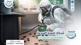 شركة لمسة السرعة