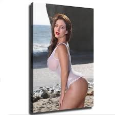 Amazon.com: Kat Dennings Sexy Poster Porn Actress Poster Canvas Poster  Bedroom Decor Office Room Decor Gift (16×24inch-No Framed): Posters & Prints