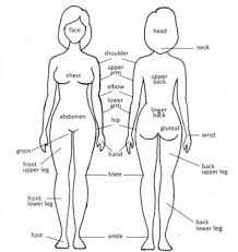 An injury to your nut sack. Including Performance Level Lowers Prevalence Of Non Timeloss Groin Injury A Cross Sectional Study In 383 Female Amateur Football Players Sciencedirect