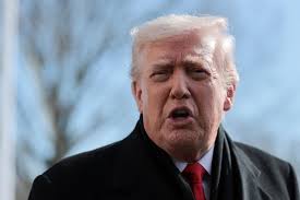 Belconnen Skate Park's new world-class vert ramp to give Canberra  skateboarders like Katie Pike a competitive edge