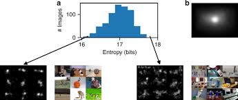 >create eye tracker to detect face. Accelerating Eye Movement Research Via Accurate And Affordable Smartphone Eye Tracking Nature Communications