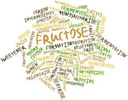 Image result for Hereditary Fructose Intolerance