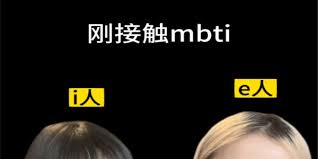 i人和e人是什么意思- 下载王