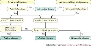 Another way to determine if you are sensitive to gluten is to ask your doctor to order the following tests: Coeliac Disease To Biopsy Or Not Nature Reviews Gastroenterology Hepatology