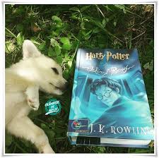 Câțiva studenți, care își iau numele de „armata lui dumbledore, încep să se întâlnească în secret cu harry care îi învață să se apere împotriva magiei negre, alături de membrii ordinului phoenix, un grup secret de vrăjitori, care îi. J K Rowling Harry Potter È™i Ordinul Phoenix 5 Recenzie Crampeie De Suflet