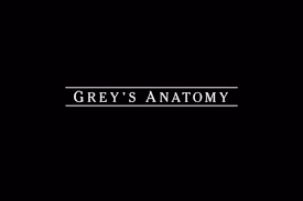 The sixteenth season of the american television medical drama grey's anatomy was ordered on may 10, 2019, by american broadcasting company (abc). Grey S Anatomy Dreharbeiten Zu Staffel 16 Haben Begonnen