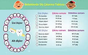 bebeklerde dis cikarma ve rahatlatici onlemler nelerdir pedo com tr