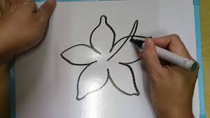 Bunganya besar, merah, keras, tetapi tidak berbau. How To Draw Hibiscus Simple For Beginners Youtube