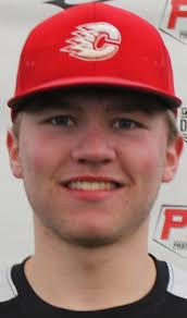 Star Tribune's All-Metro baseball teams: Eight first-teamers going Division  I; one too young to know