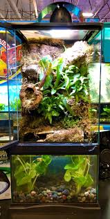 Diy Paludarium With Aquarium On Bottom And Terrarium On Top Great For Dart Frogs Day Geckos Cherry Shrimp And Frog Terrarium Dart Frog Terrarium Dart Frog
